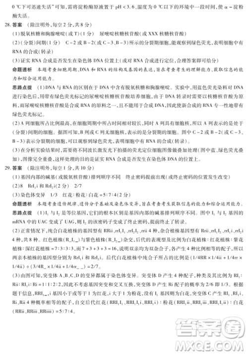 河南省天一大联考2018-2019阶段测试二生物答案 河南省天一大联考2018-2019阶段测试二生物答案