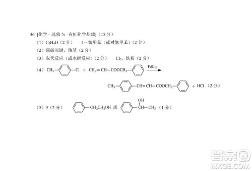绵阳市高中2016级第一次诊断性考试理科综合能力测试试卷及参考答案 绵阳市高中2016级第一次诊断性考试理科综合能力测试试卷及参考答案