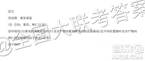 衡水2019届上学期高三年级二调理科综合参考答案
