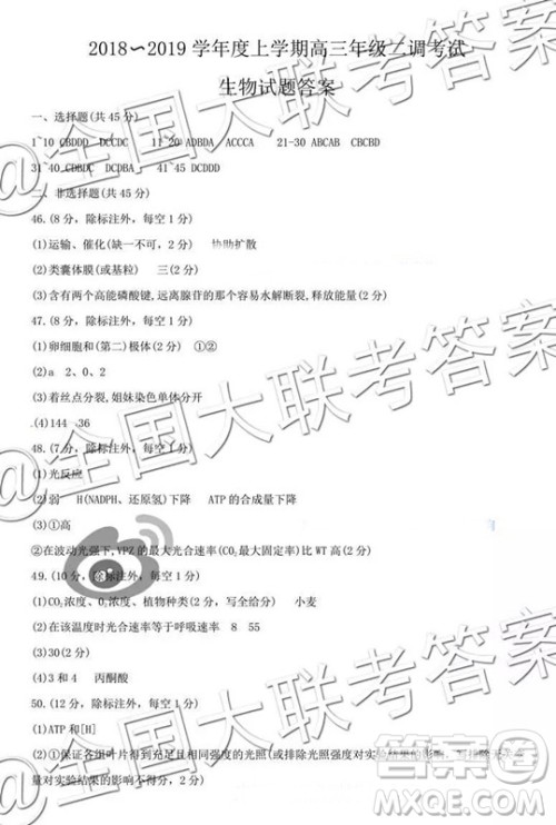 衡水2019届上学期高三年级二调理科综合参考答案