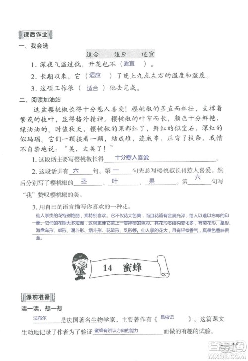 2018秋知识与能力训练语文三年级上册人教版参考答案