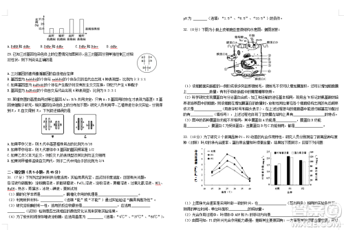 2019届荆荆襄宜四地七校考试联盟高三10月联考生物答案