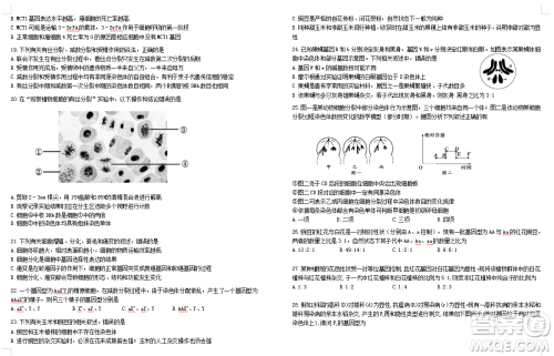 2019届荆荆襄宜四地七校考试联盟高三10月联考生物答案