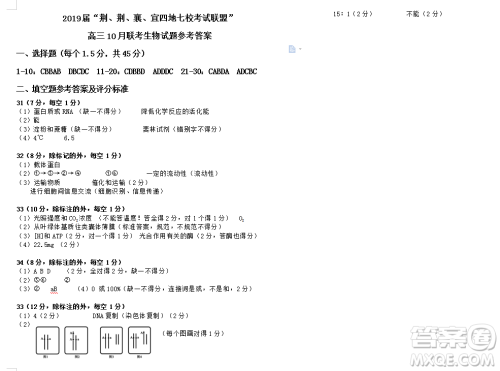 2019届荆荆襄宜四地七校考试联盟高三10月联考生物答案