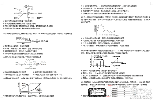 2019届荆荆襄宜四地七校考试联盟高三10月联考生物答案