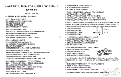 2019届荆荆襄宜四地七校考试联盟高三10月联考生物答案