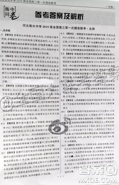 衡水中学2019届全国高三第一次摸底联考生物参考答案