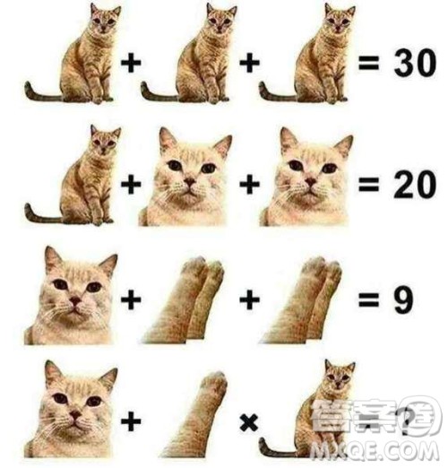3只全身猫相加等于30图片 带尾巴的3只猫等于30