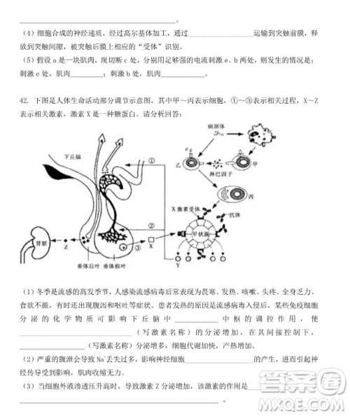 哈尔滨大庆实验中学2018年高二上学期期中考试生物试卷答案