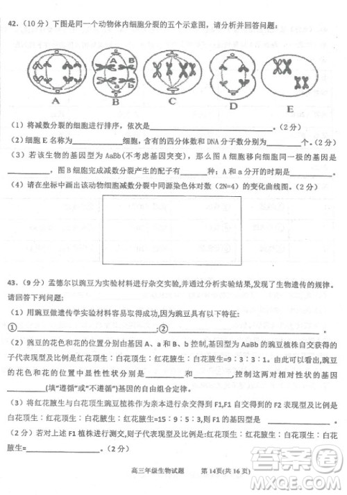 2019届河北省衡水中学高三上学期三调考试历史试题及答案