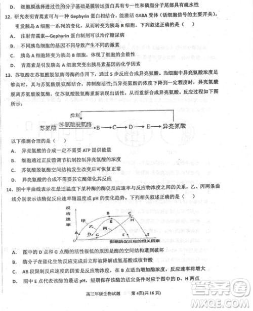 2019届河北省衡水中学高三上学期三调考试历史试题及答案