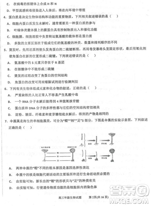 2019届河北省衡水中学高三上学期三调考试历史试题及答案