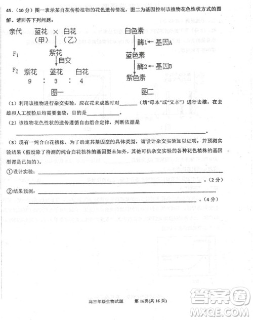 2019届河北省衡水中学高三上学期三调考试历史试题及答案