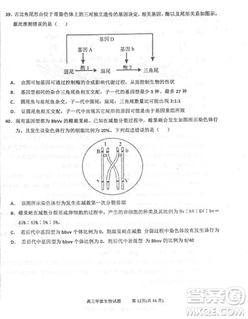 2019届河北省衡水中学高三上学期三调考试历史试题及答案 2019届河北省衡水中学高三上学期三调考试历史试题及答案