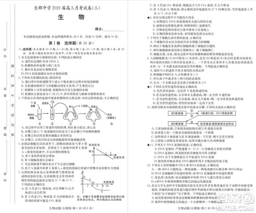 2019届湖南省长郡中学高三上学期第三次月考历史试题及答案