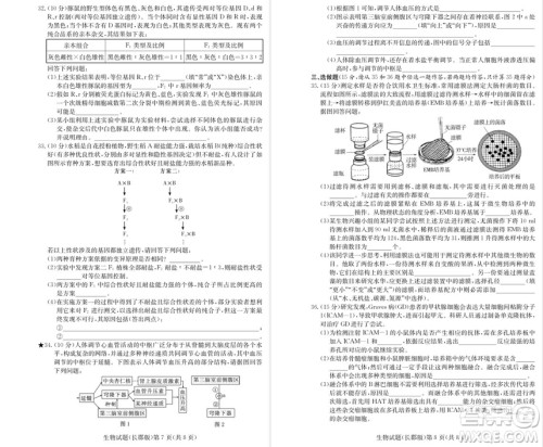 2019届湖南省长郡中学高三上学期第三次月考历史试题及答案