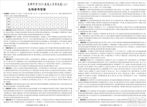 2019届湖南省长郡中学高三上学期第三次月考历史试题及答案 2019届湖南省长郡中学高三上学期第三次月考历史试题及答案