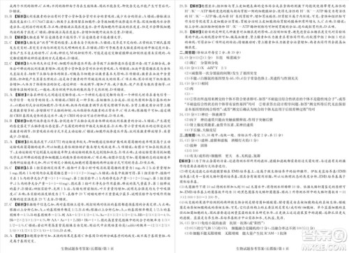 2019届湖南省长郡中学高三上学期第三次月考历史试题及答案