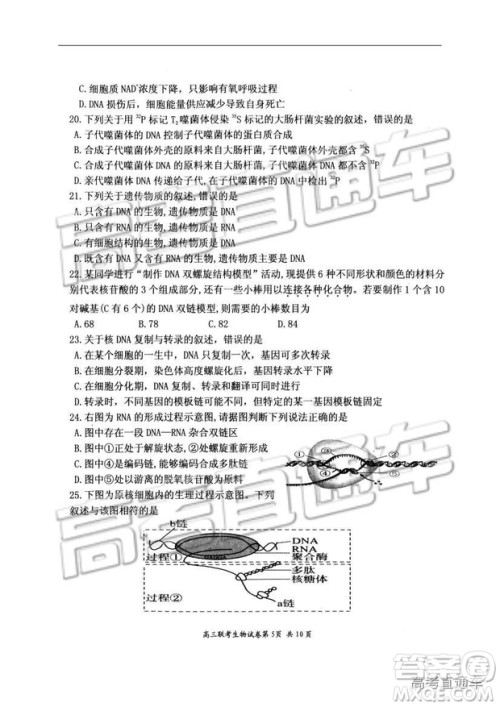 湖北省部分重点中学2019届高三第一次联考理科综合参考答案