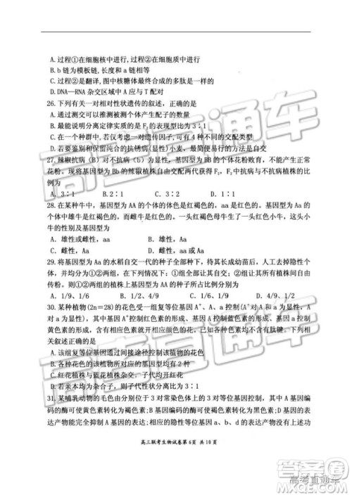 湖北省部分重点中学2019届高三第一次联考理科综合参考答案