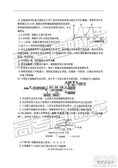 湖北省部分重点中学2019届高三第一次联考理科综合参考答案