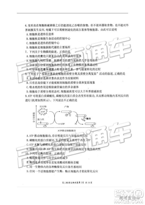 湖北省部分重点中学2019届高三第一次联考理科综合参考答案