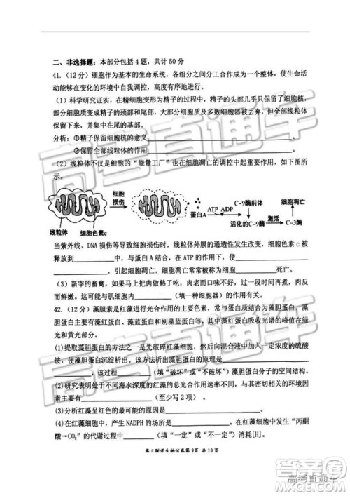 湖北省部分重点中学2019届高三第一次联考理科综合参考答案 湖北省部分重点中学2019届高三第一次联考理科综合参考答案