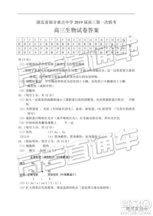 湖北省部分重点中学2019届高三第一次联考理科综合参考答案 湖北省部分重点中学2019届高三第一次联考理科综合参考答案