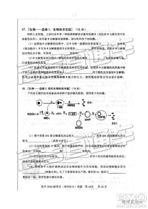 2019四川省仁寿县高三11月份零诊测试理综试题及参考答案