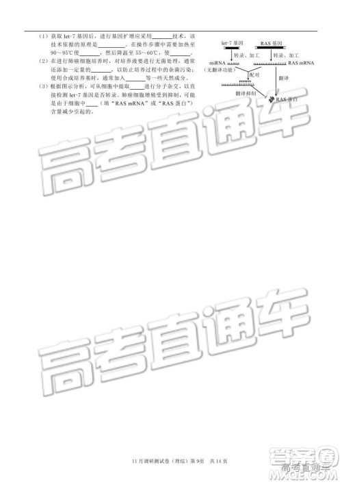 2019重庆市普通高等学校招生全国统一考试11月调研测试理综试题及参考答案