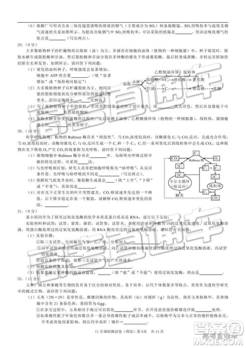 2019重庆市普通高等学校招生全国统一考试11月调研测试理综试题及参考答案