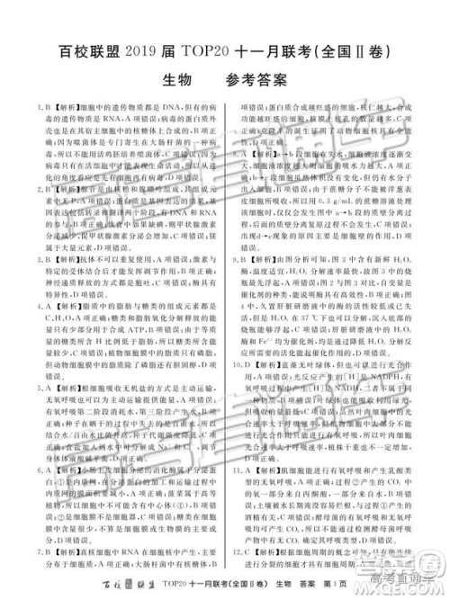 百校联盟2019届TOP20十一月高三联考全国Ⅱ卷生物试题及参考答案