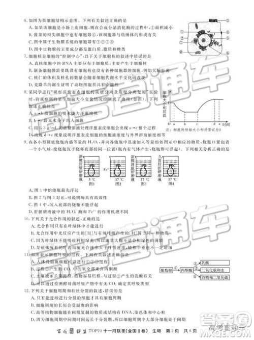 百校联盟2019届TOP20十一月高三联考全国Ⅱ卷生物试题及参考答案 百校联盟2019届TOP20十一月高三联考全国Ⅱ卷生物试题及参考答案