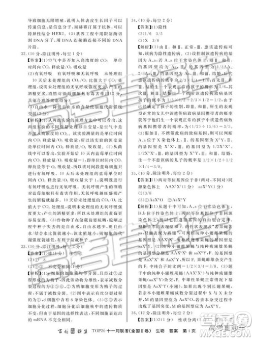 百校联盟2019届TOP20十一月高三联考全国Ⅱ卷生物试题及参考答案 百校联盟2019届TOP20十一月高三联考全国Ⅱ卷生物试题及参考答案