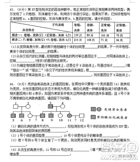 哈三中2018高三期中考试理科综合试题答案