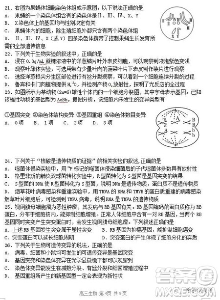 哈三中2018高三期中考试理科综合试题答案 哈三中2018高三期中考试理科综合试题答案