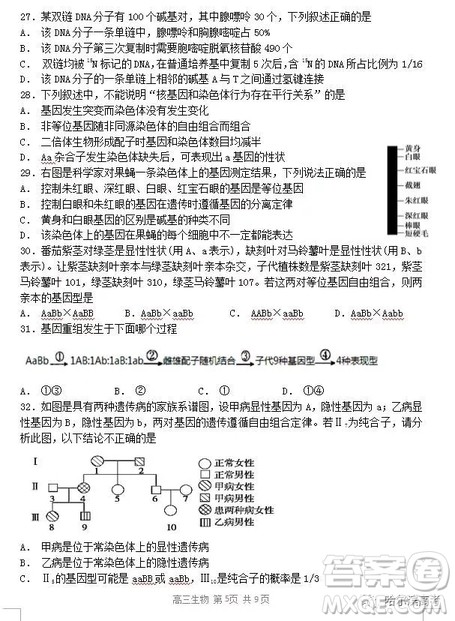 哈三中2018高三期中考试理科综合试题答案