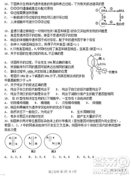 哈三中2018高三期中考试理科综合试题答案