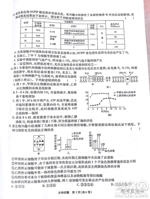 江淮十校2019高三第二次联考理科综合试题及参考答案