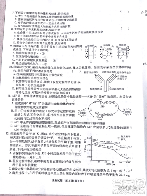 江淮十校2019高三第二次联考理科综合试题及参考答案