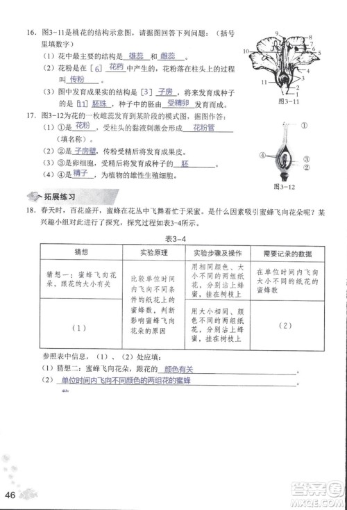 2018秋知识与能力训练生物学七年级上册人教版答案
