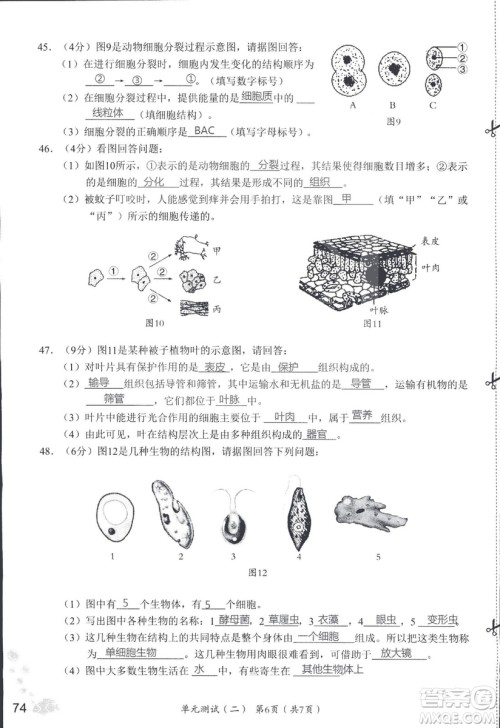 2018秋知识与能力训练生物学七年级上册人教版答案