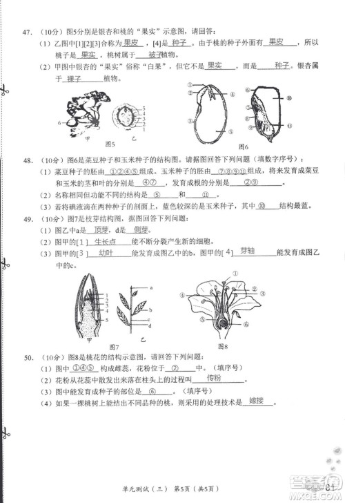2018秋知识与能力训练生物学七年级上册人教版答案