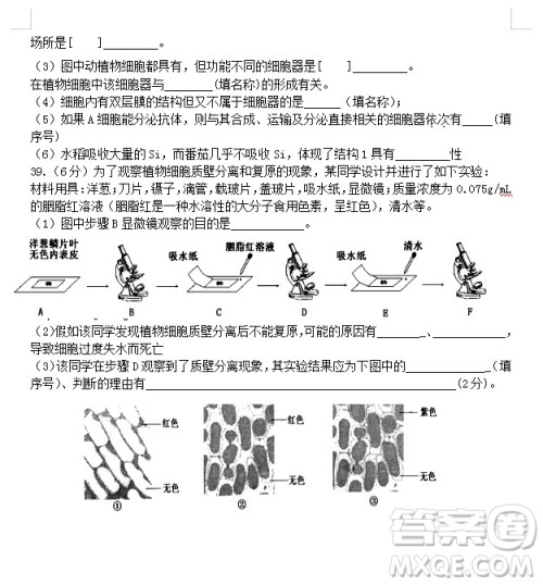 2018-2019学年江苏省江阴四校高一上学期期中考试生物试题答案