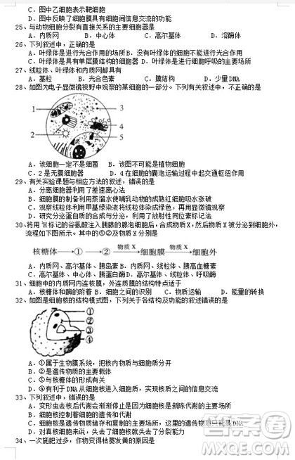 2018-2019学年江苏省江阴四校高一上学期期中考试生物试题答案