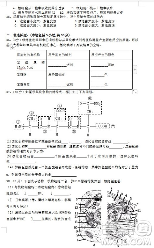 2018-2019学年江苏省江阴四校高一上学期期中考试生物试题答案