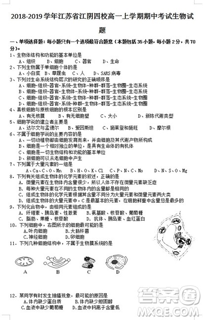 2018-2019学年江苏省江阴四校高一上学期期中考试生物试题答案