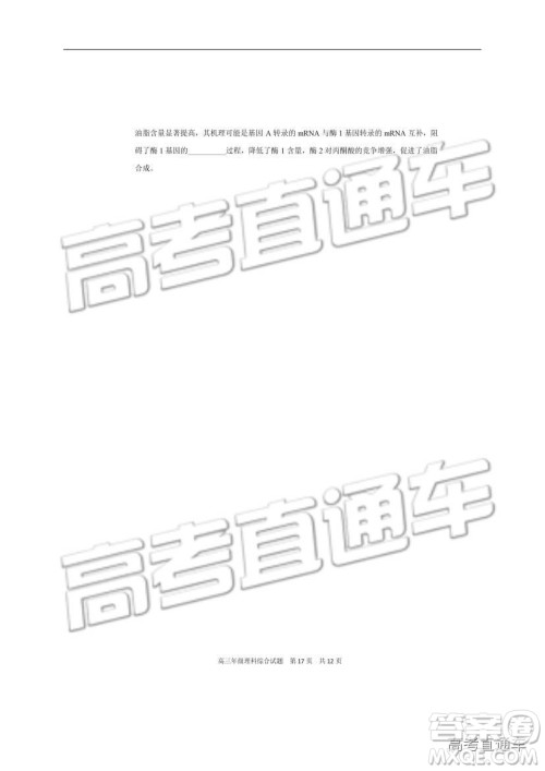 华中师大一附中2018—2019学年度上学期高三期中检测理综试题及参考答案