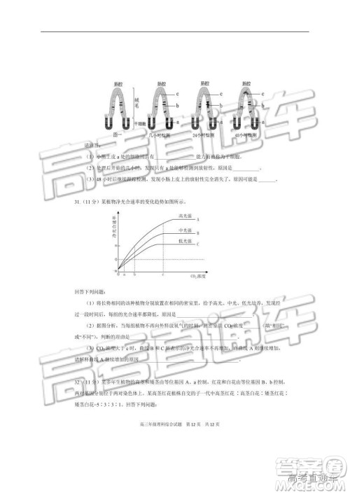 华中师大一附中2018—2019学年度上学期高三期中检测理综试题及参考答案