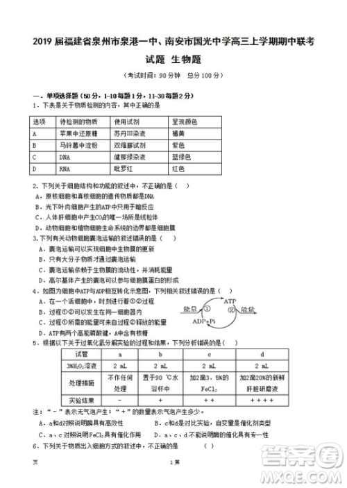 2019届福建省泉州市泉港一中南安市国光中学高三上学期期中联考试题生物答案 2019届福建省泉州市泉港一中南安市国光中学高三上学期期中联考试题生物答案